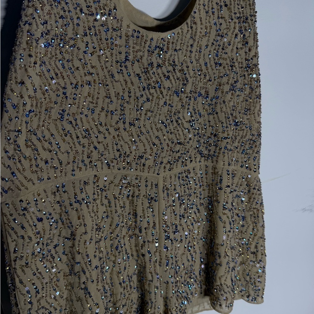 ZARA Woman Hand Embroidered Sequin Beaded Party Top – Size M - Picture 4 of 6